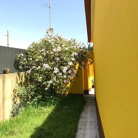 A Casa Do Pai *